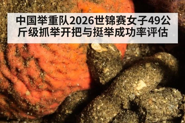 中国举重队2026世锦赛女子49公斤级抓举开把与挺举成功率评估